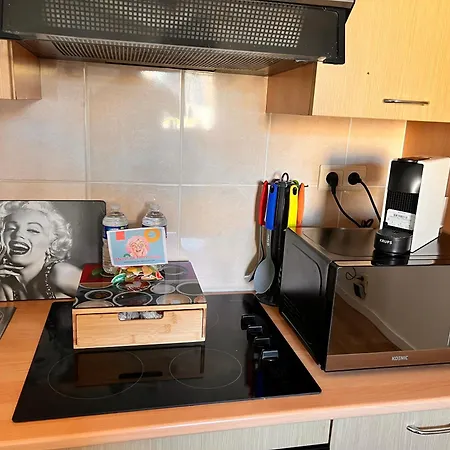 Du Moulin 2-c Proche De Pairi Daiza Et Google *