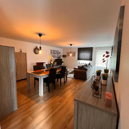 Du Moulin 2-c Proche De Pairi Daiza Et Google *