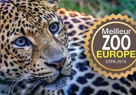 Du Moulin 2-c Proche De Pairi Daiza Et Google