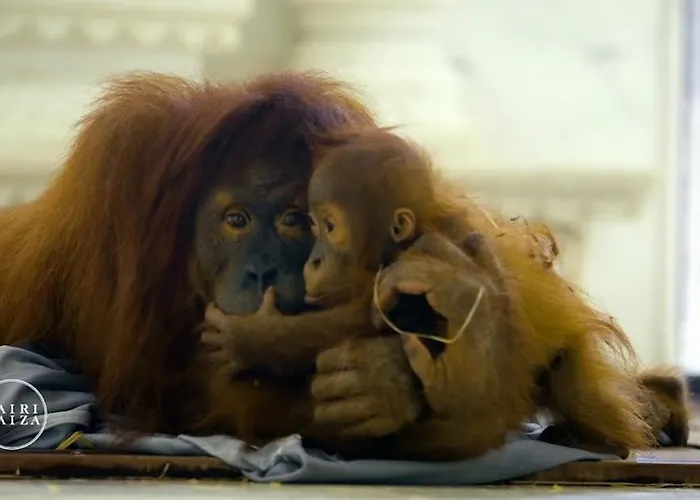 Résidence Du Moulin 2-c Pour 4 Personnes * Boussu-lez-Mons